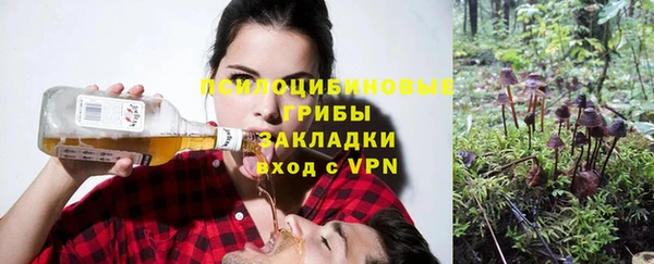 эйфоретик Абаза