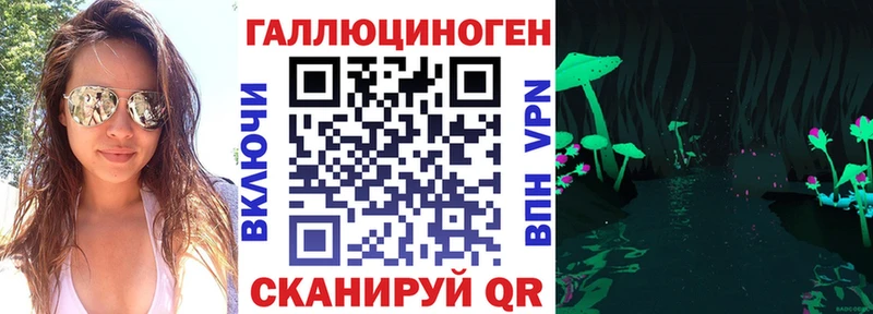 Псилоцибиновые грибы Psilocybe хочу наркоту Зверево